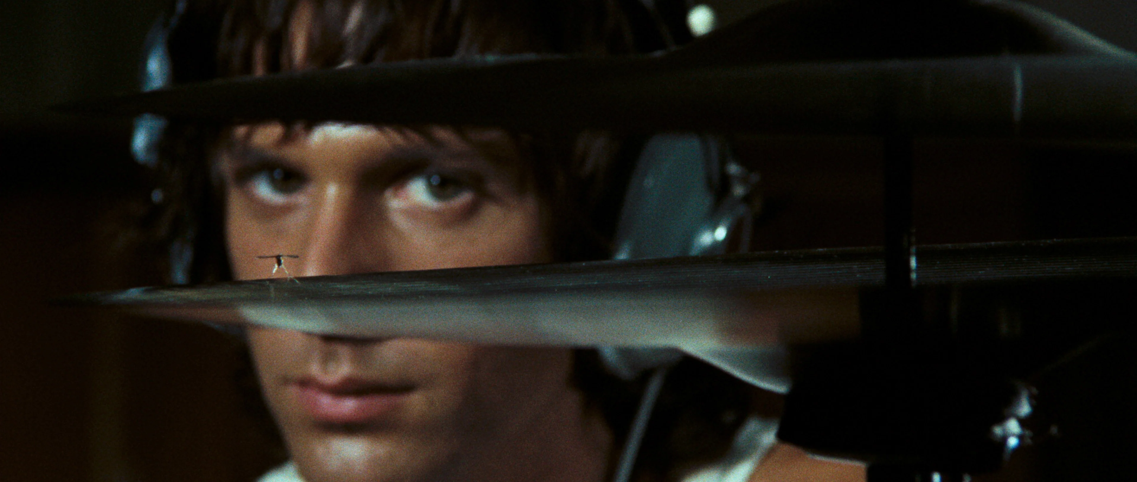 4 Mouches de velours gris de Dario Argento - Image 7