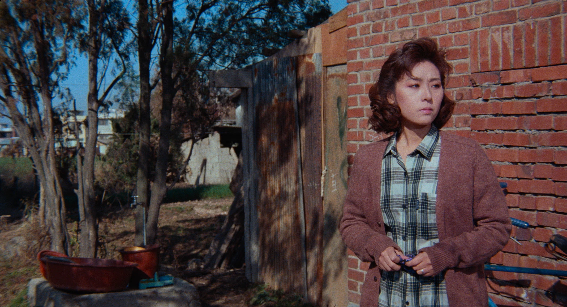 A Short Love Affair de Jang Sun-woo - Image 3