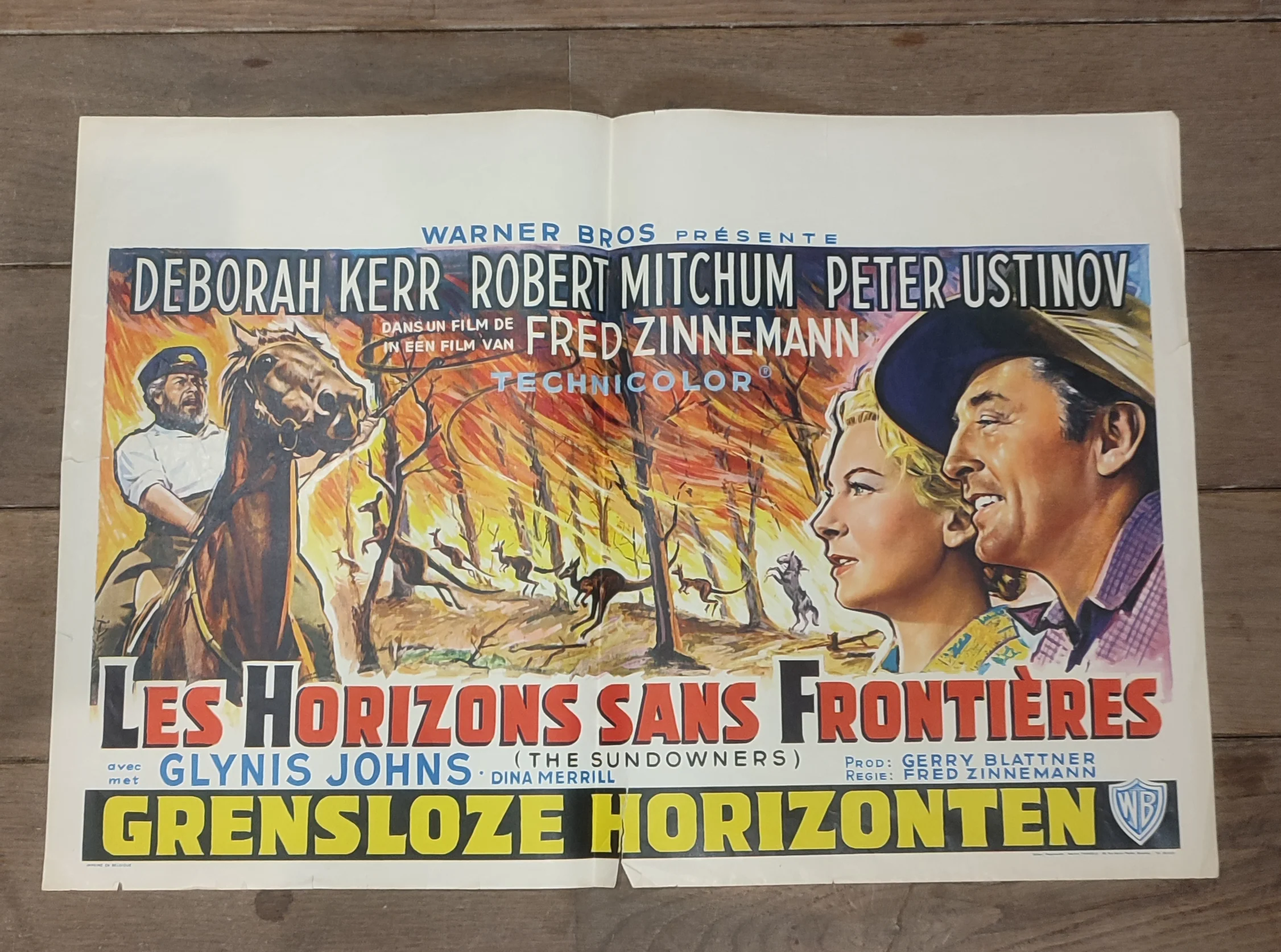 Affiche Les Horizons sans frontières