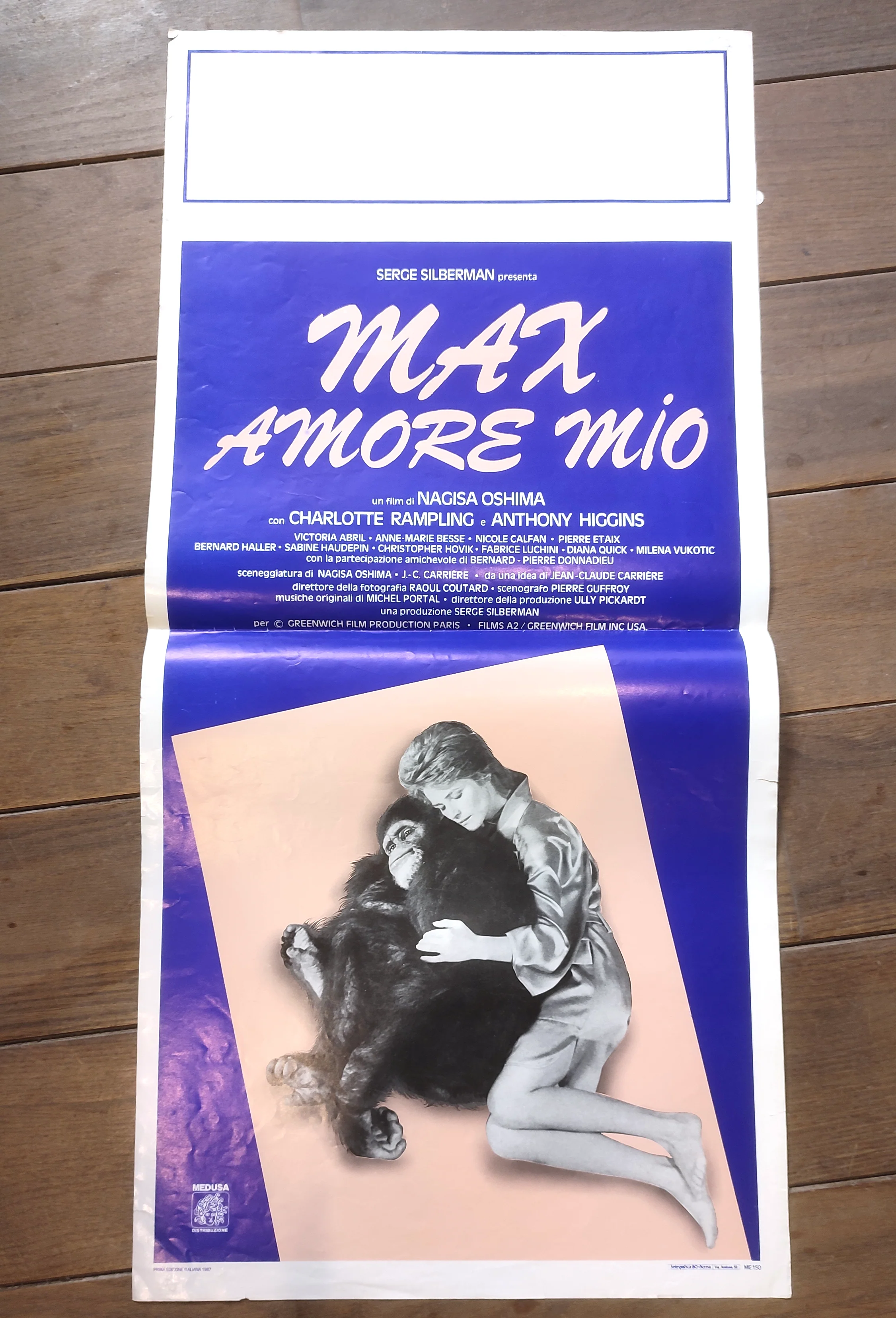 Affiche Max mon amour