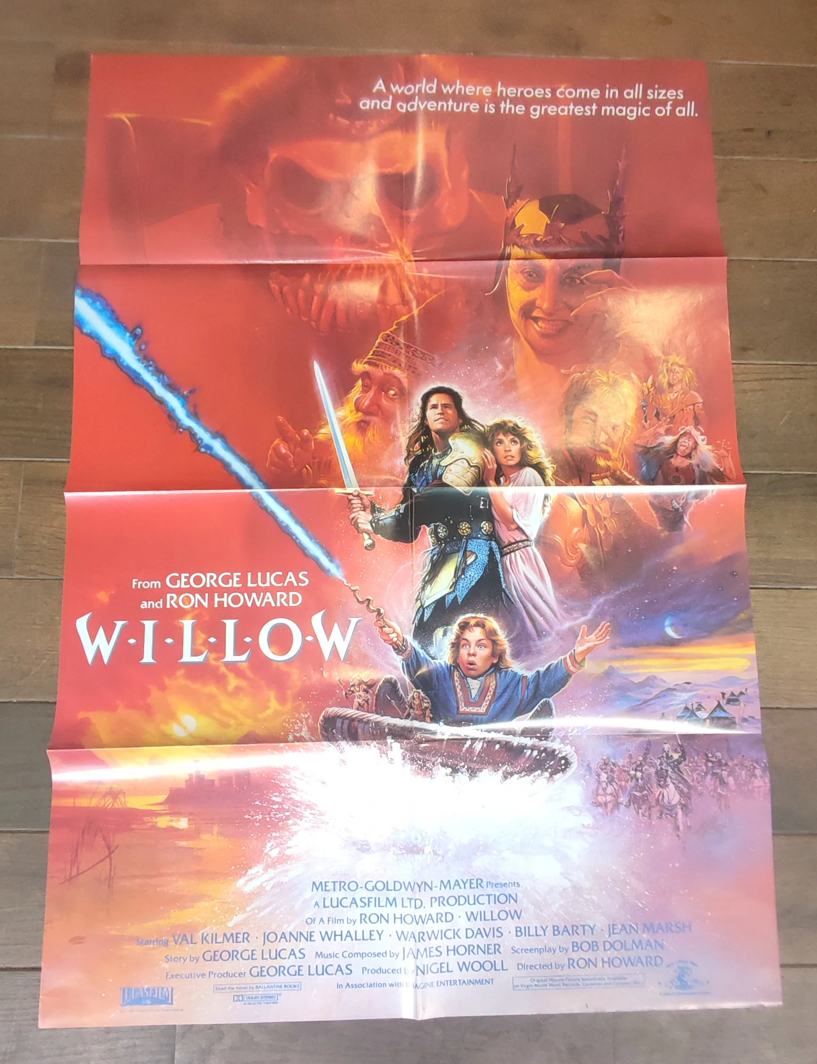 Affiche Willow - visuel n°1