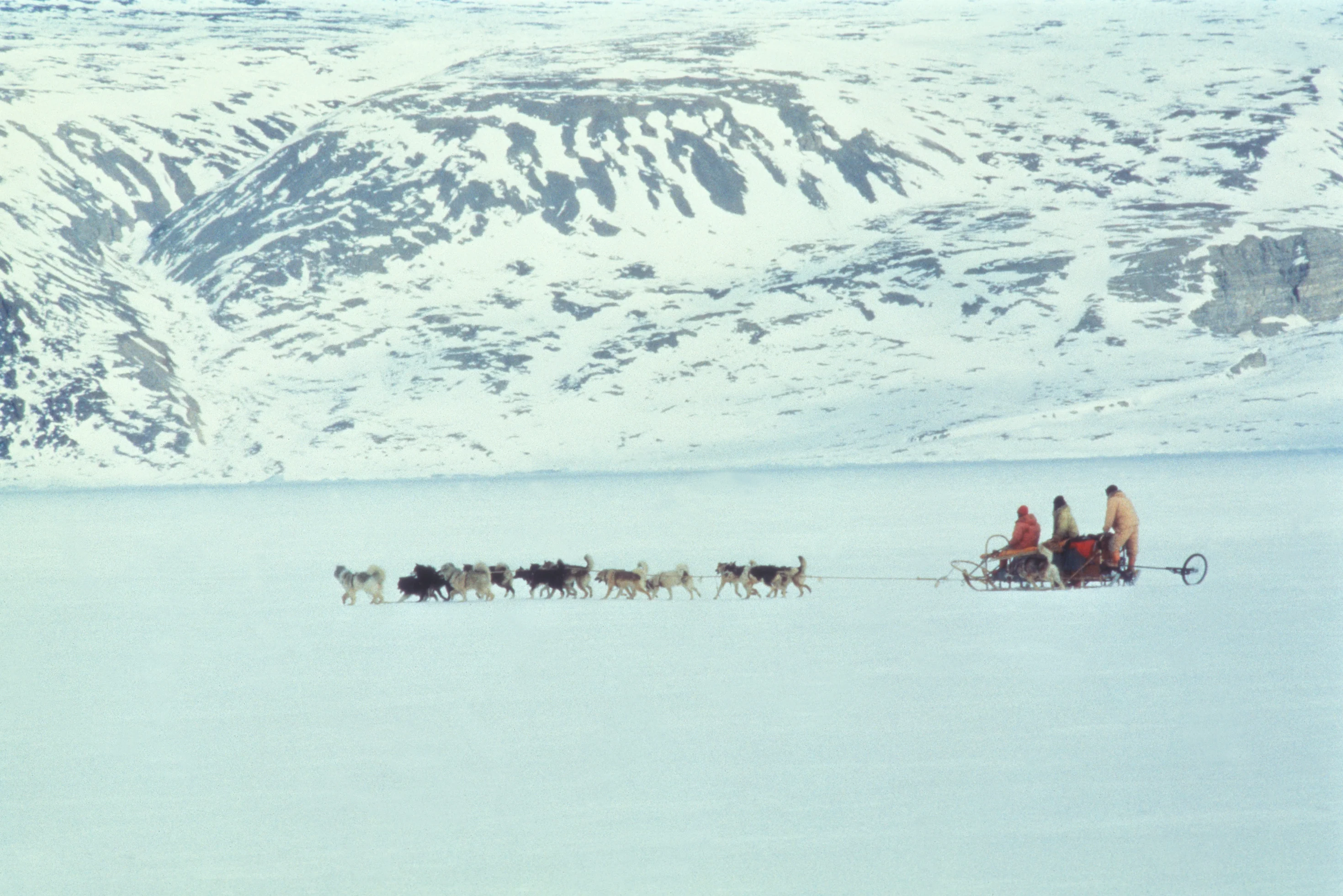 Antarctica de Koreyoshi Kurahara - Image 3