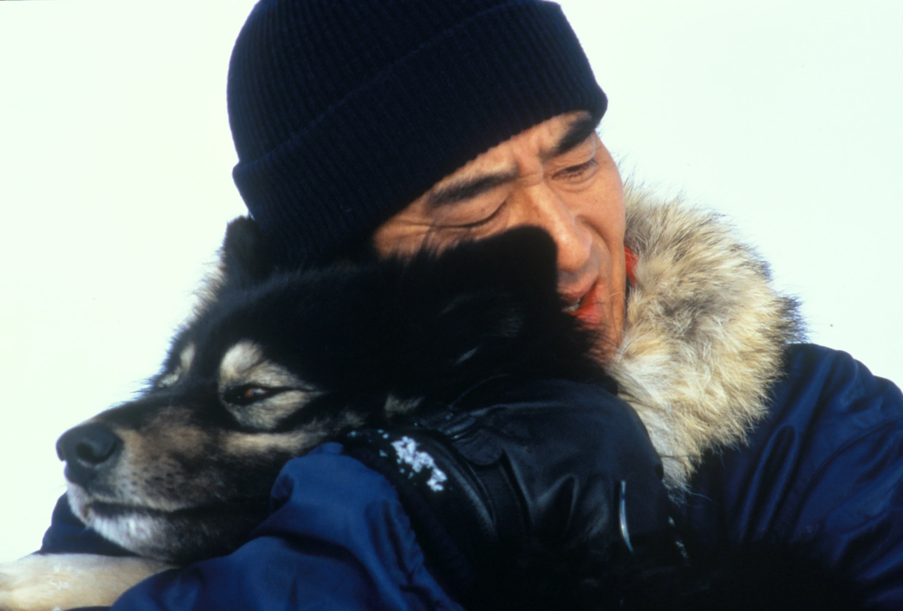 Antarctica de Koreyoshi Kurahara - Image 4