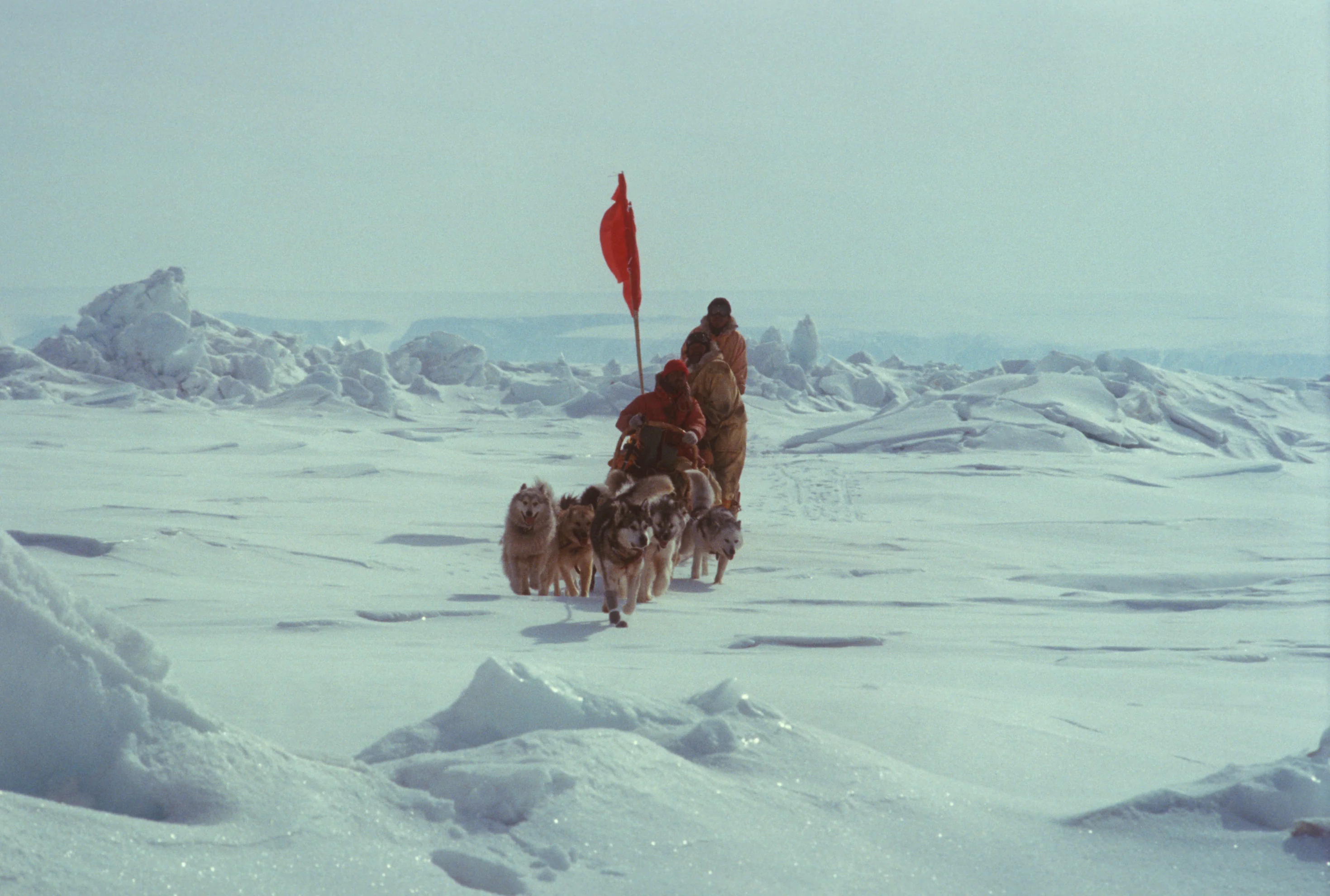 Antarctica de Koreyoshi Kurahara - Image 6