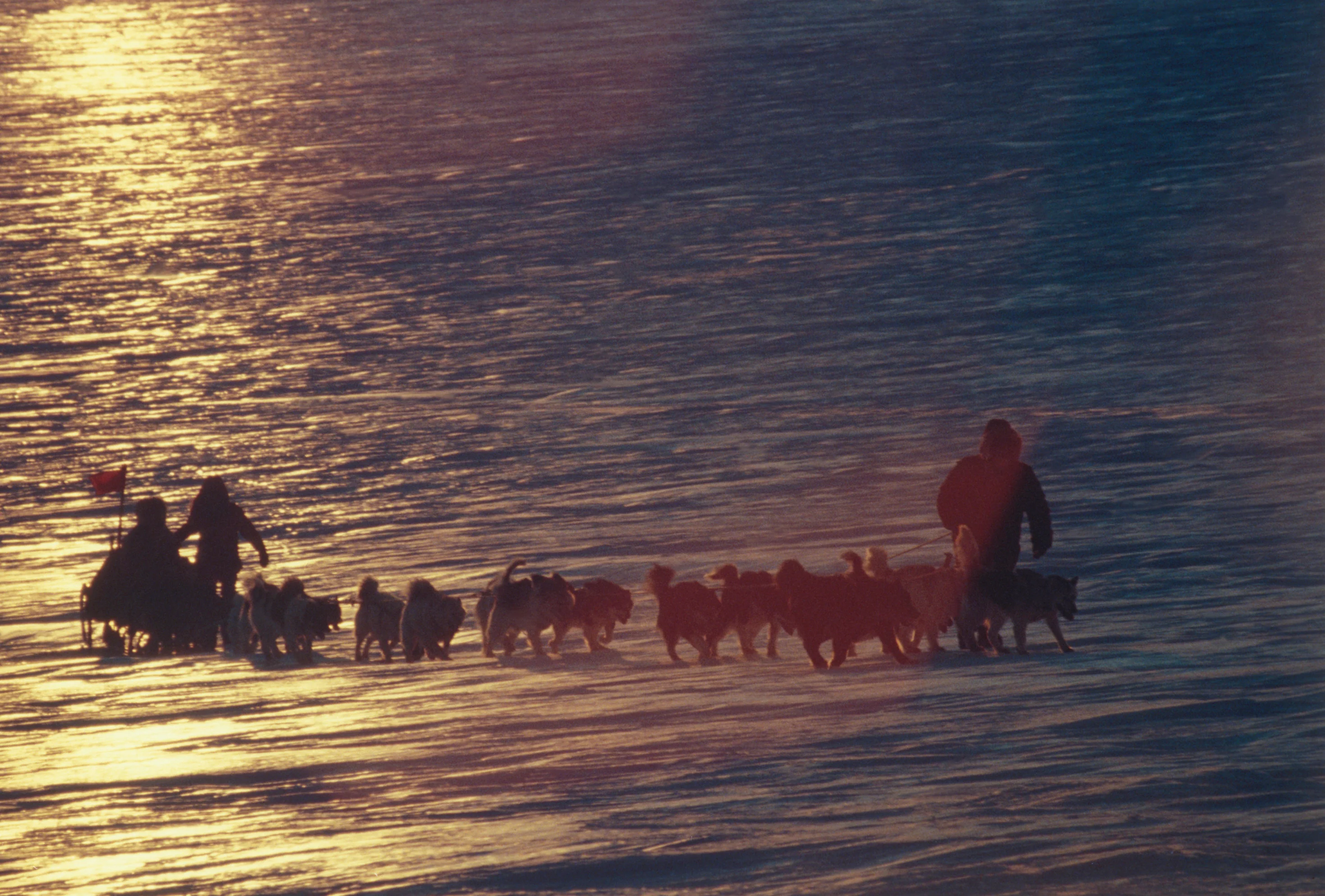 Antarctica de Koreyoshi Kurahara - Image 7