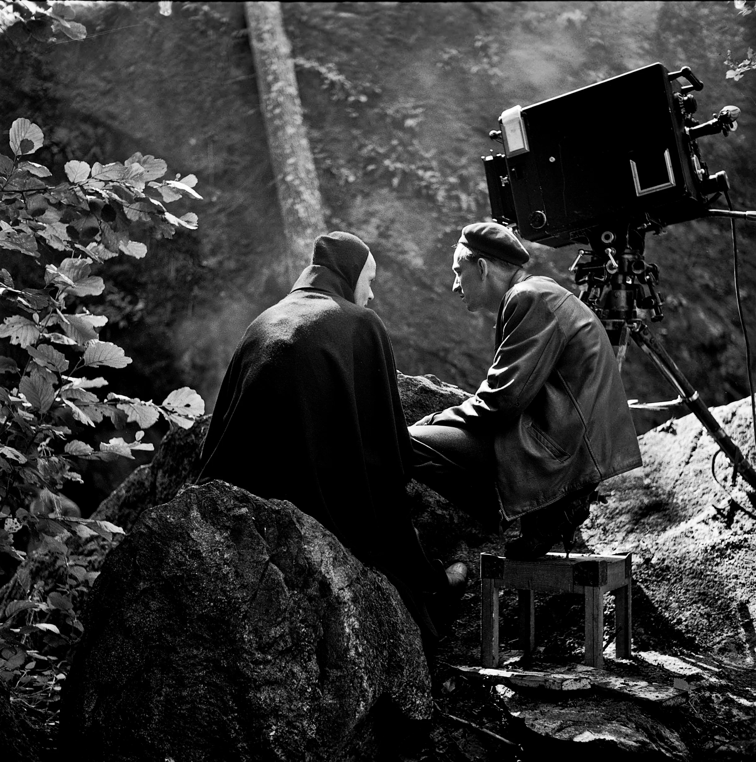 Bergman, mode d'emploi - Coffret Collector Limité - Image 4