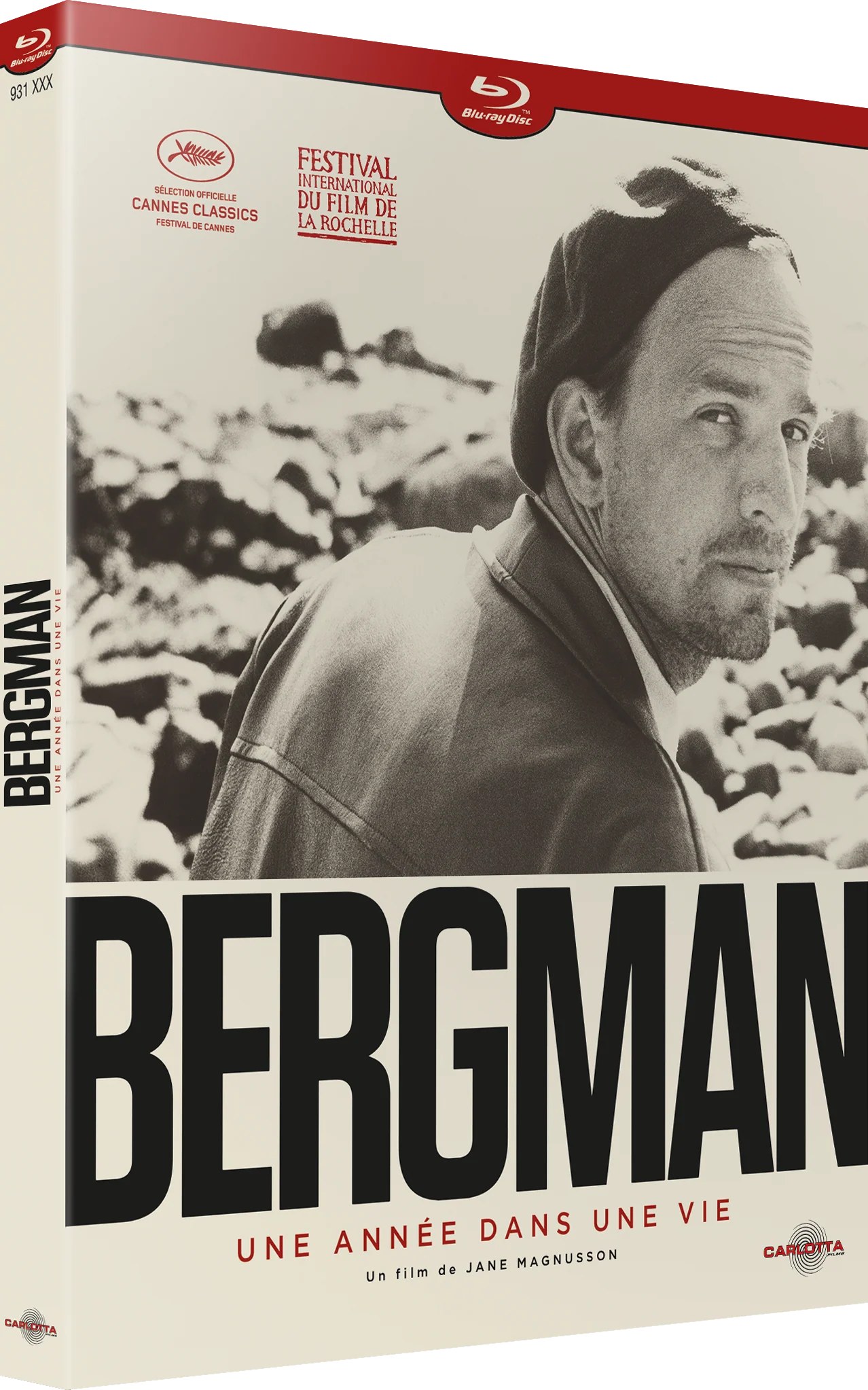 Bergman, une année dans une vie de Jane Magnusson