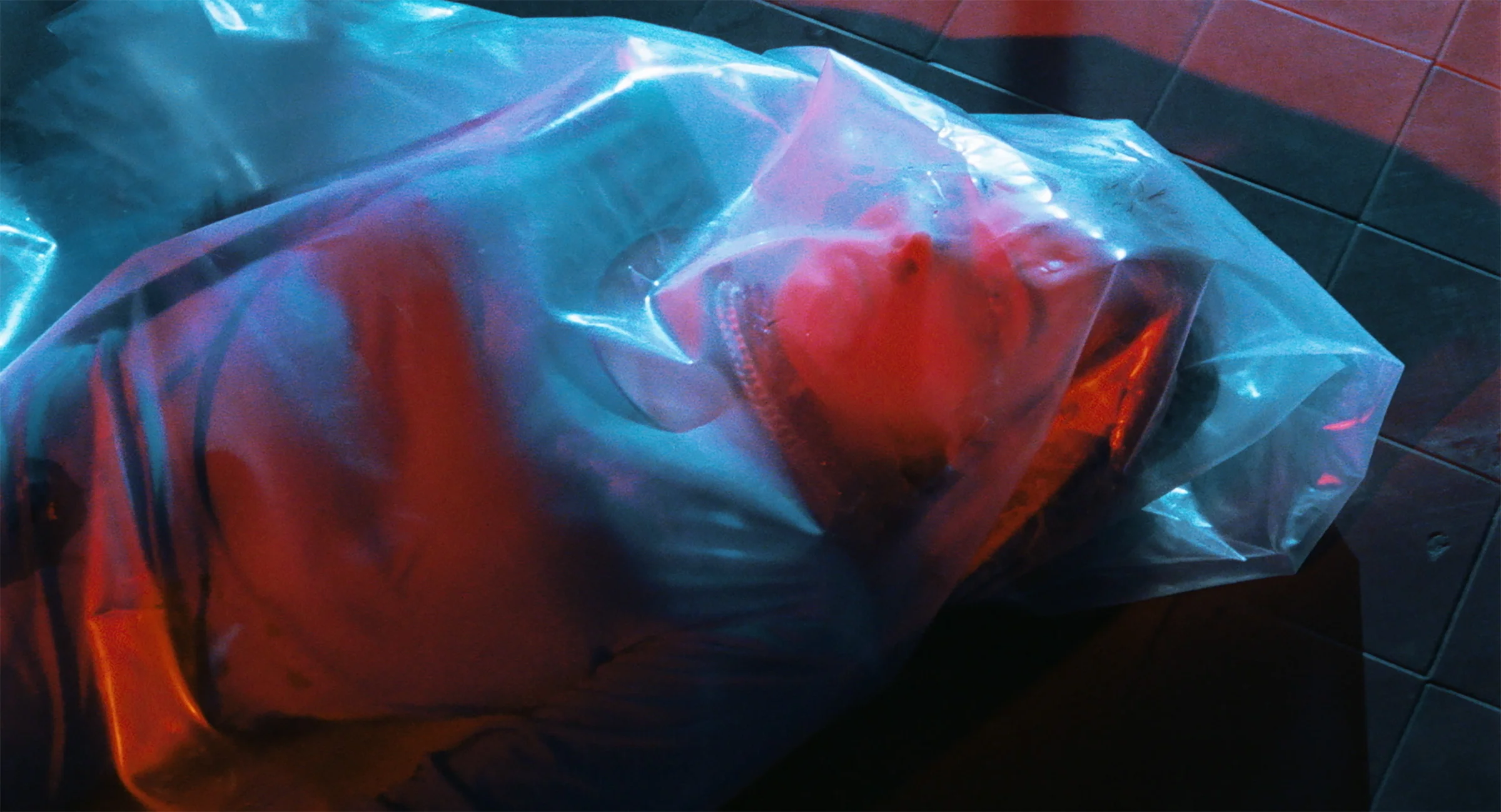 Coffret 2 films de Lamberto Bava - Image 4