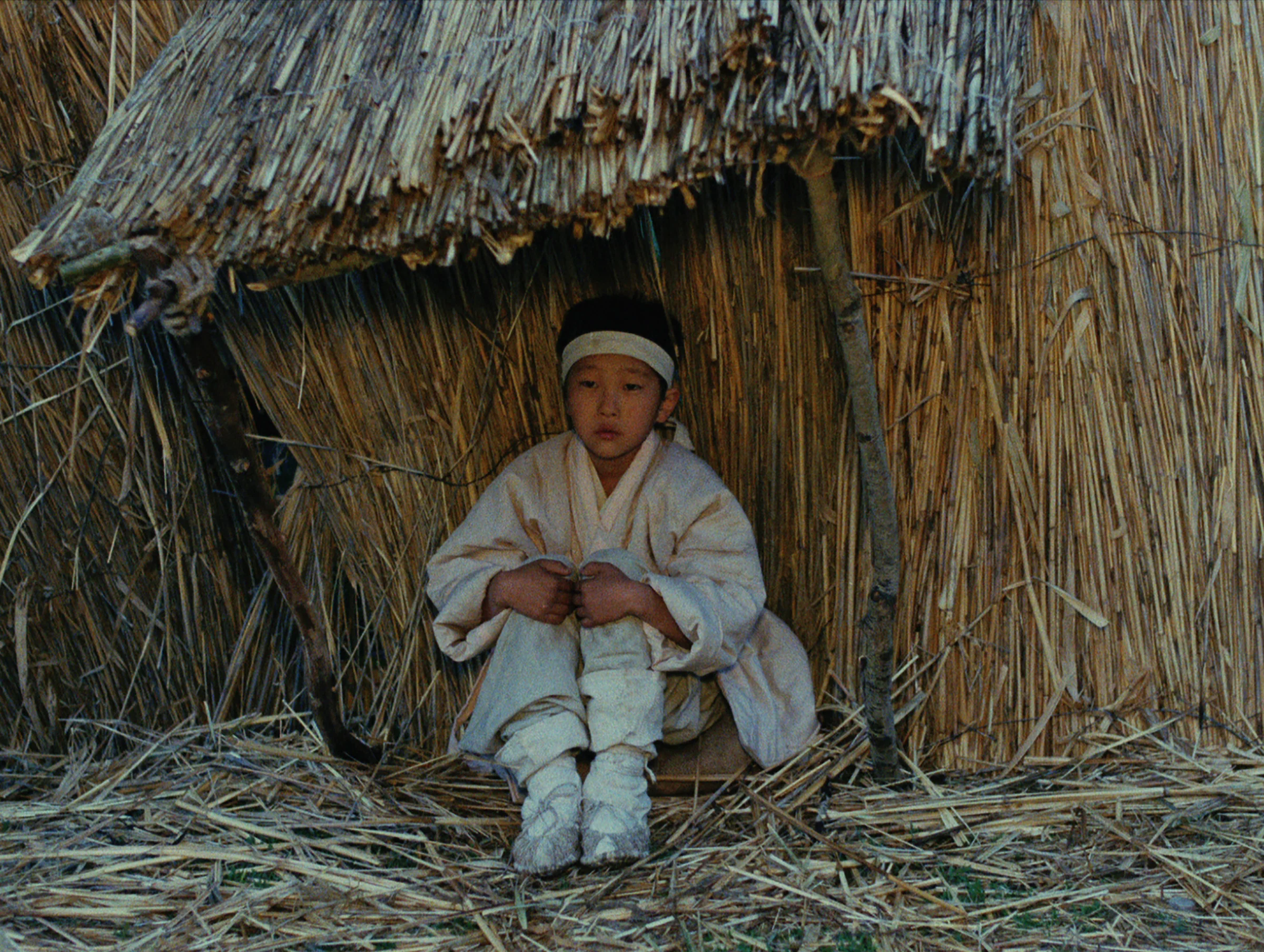 Coffret World Cinema Project - Image 10