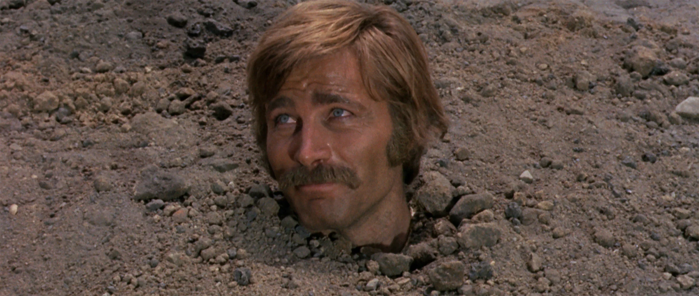 Compañeros de Sergio Corbucci - Image 4