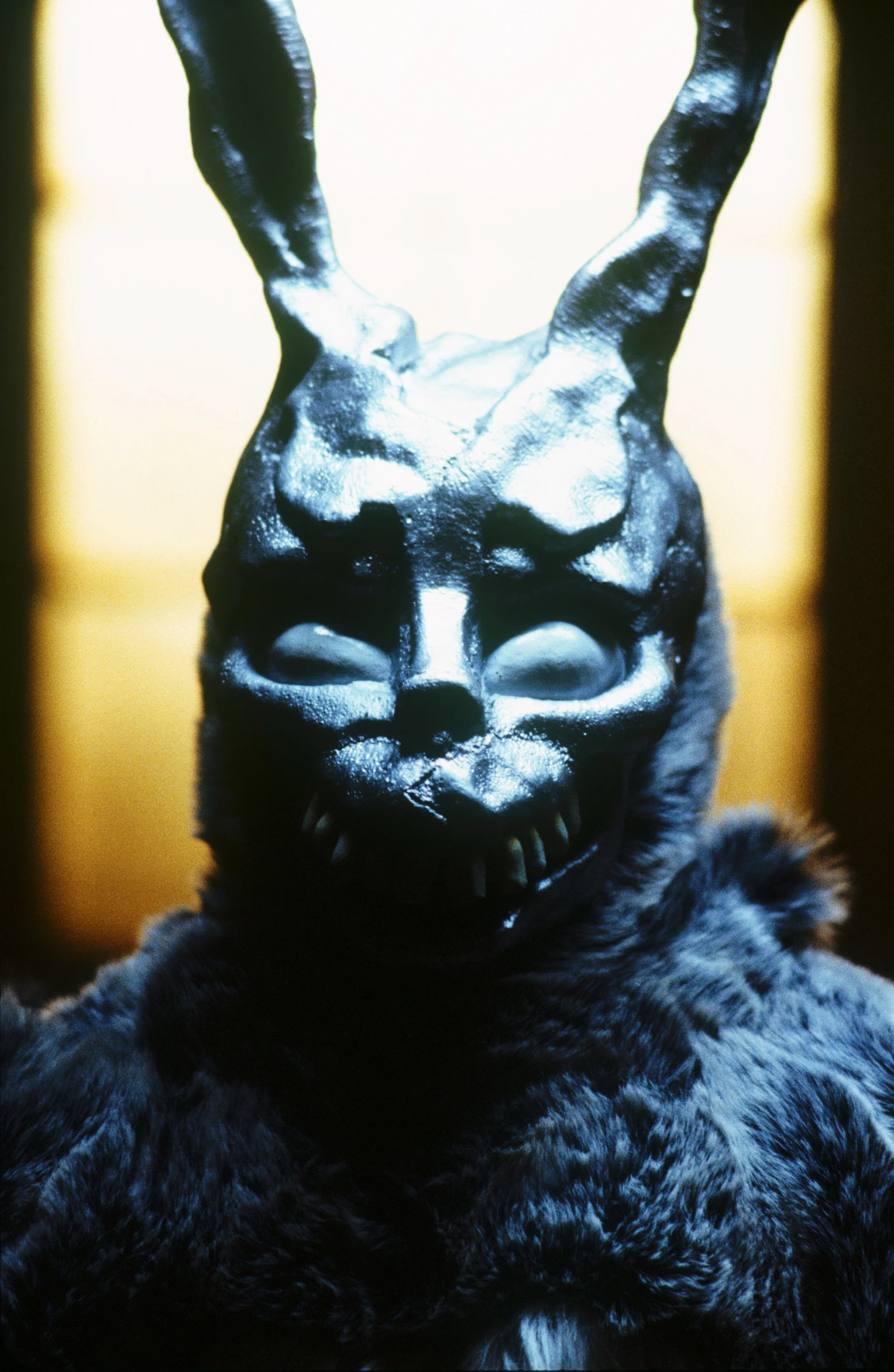 Donnie Darko - Coffret Ultra Collector 14 - Blu-ray + DVD + Livre - Image 6