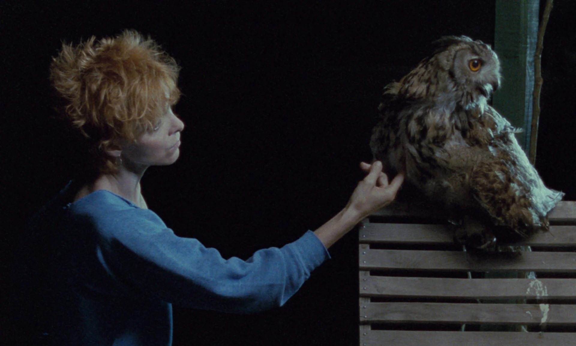 La Campagne de Cicéron de Jacques Davila - DVD - Image 2