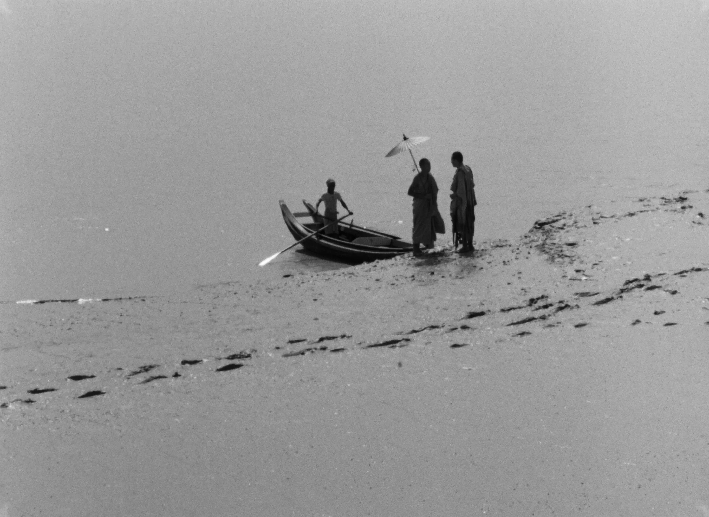 La Harpe de Birmanie de Kon Ichikawa - Image 3