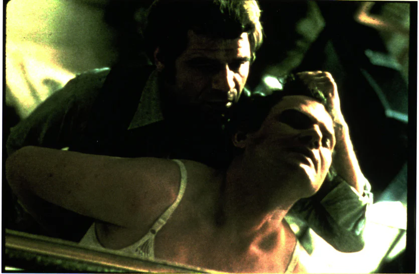 L'Année des treize lunes de R. W. Fassbinder - DVD - Image 3
