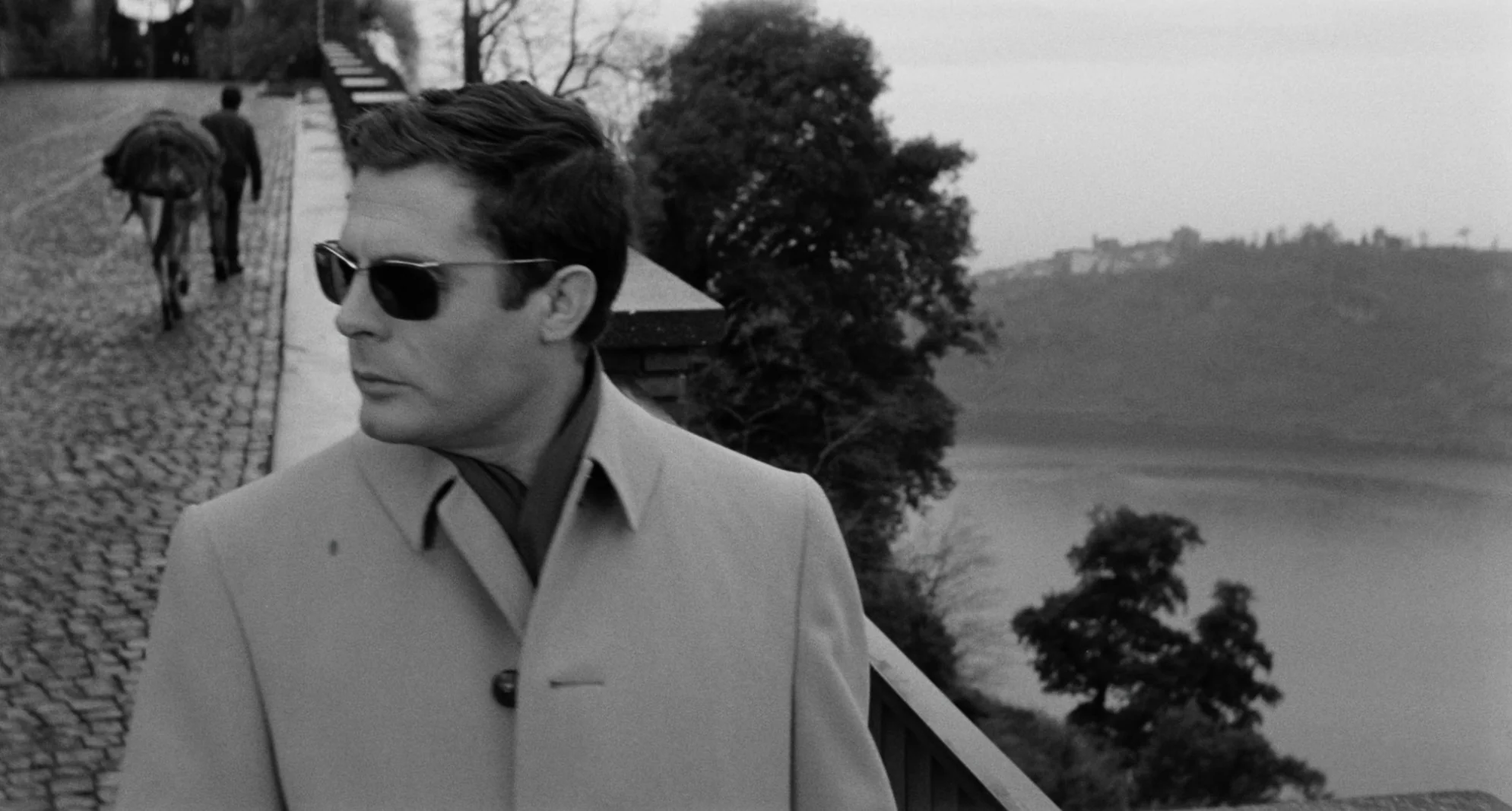 L'Assassin d'Elio Petri - Image 3