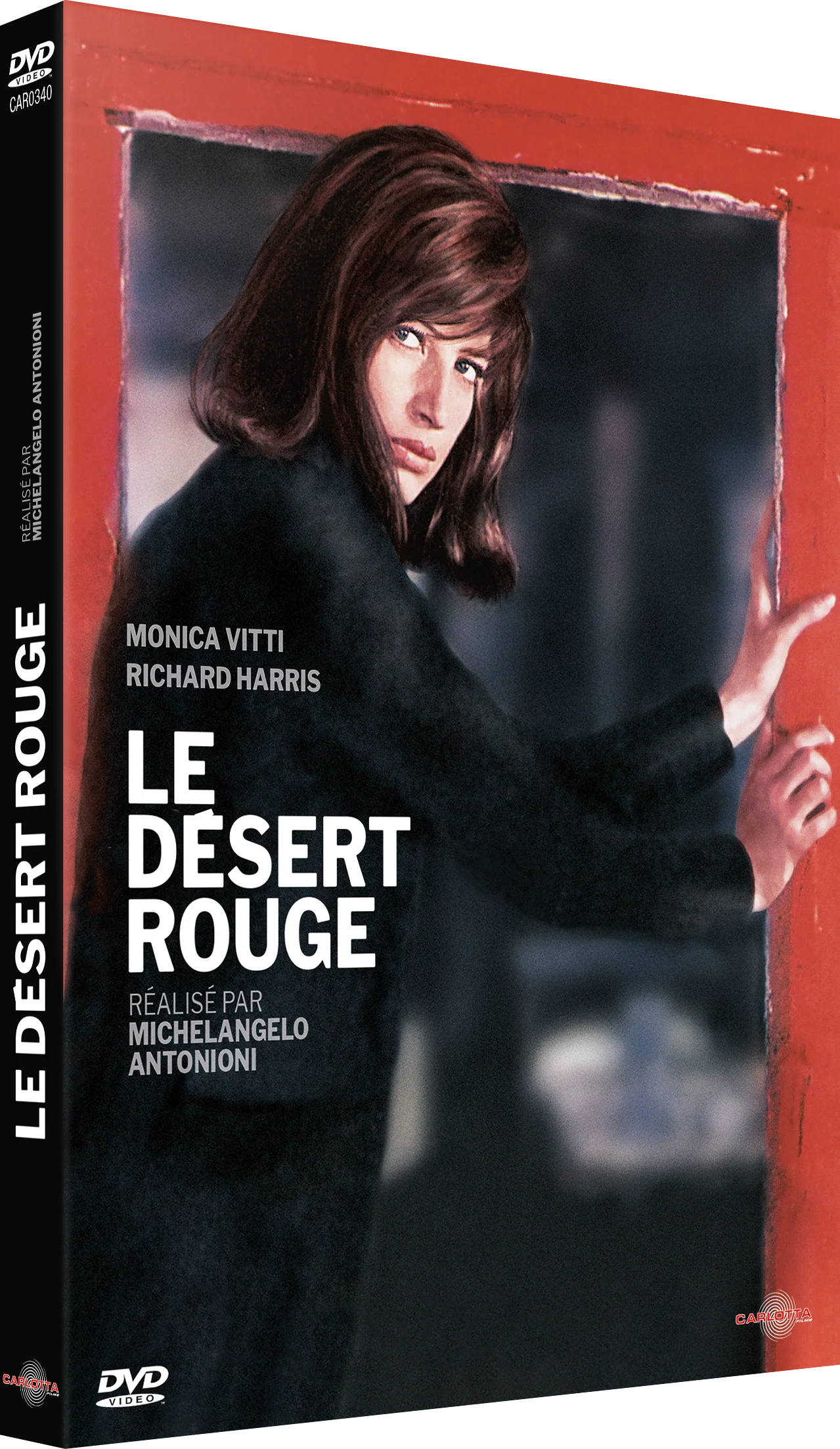 Le Désert rouge de Michelangelo Antonioni - Image 2
