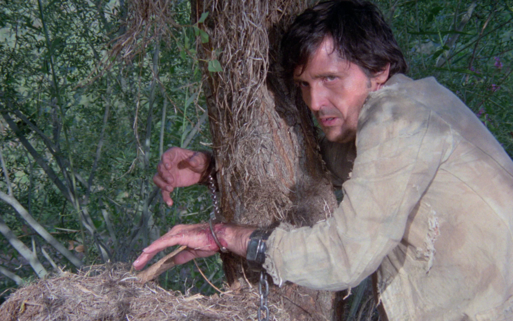 Les Crocs du diable de Antonio Isasi - Image 3