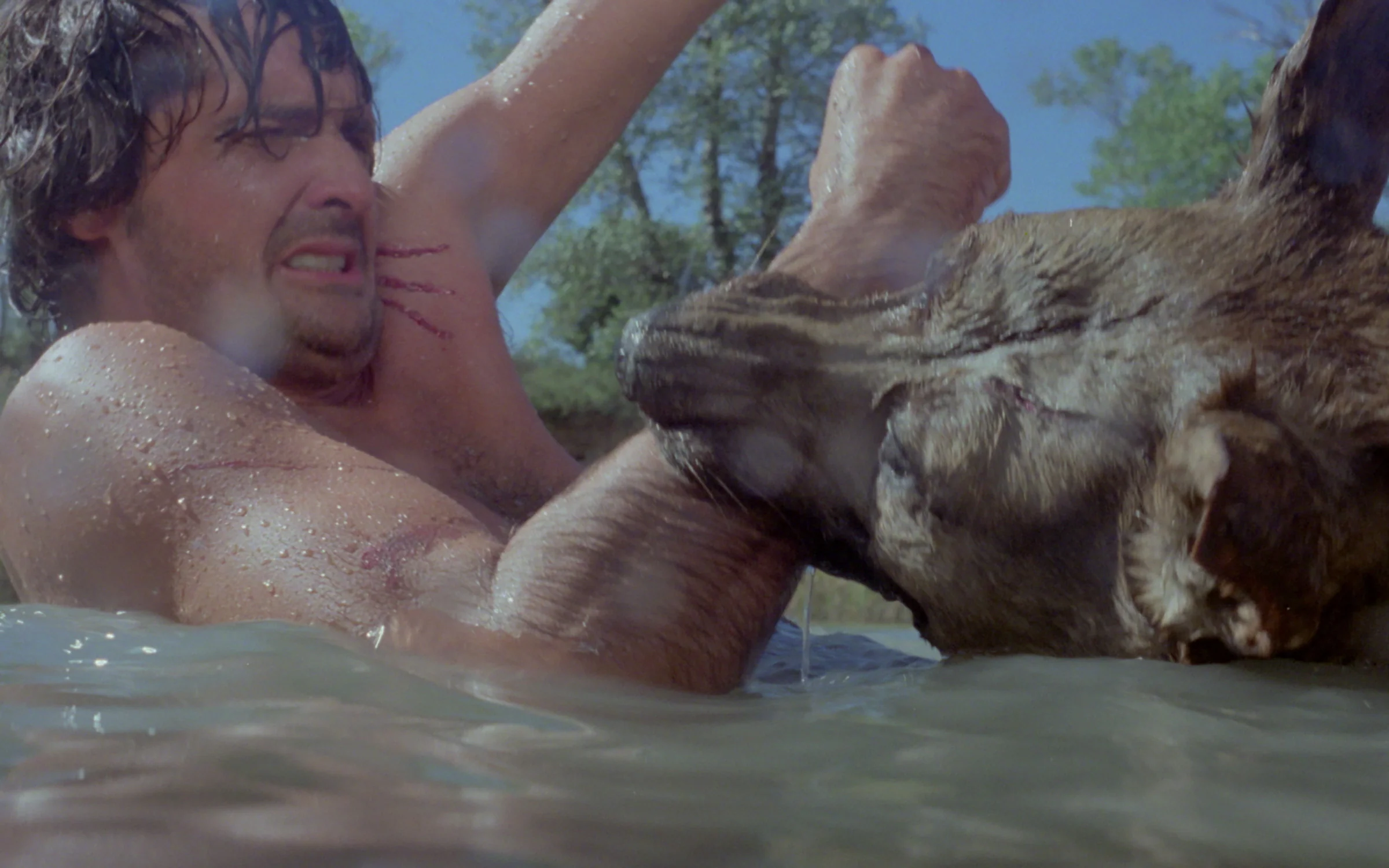 Les Crocs du diable de Antonio Isasi - Image 5
