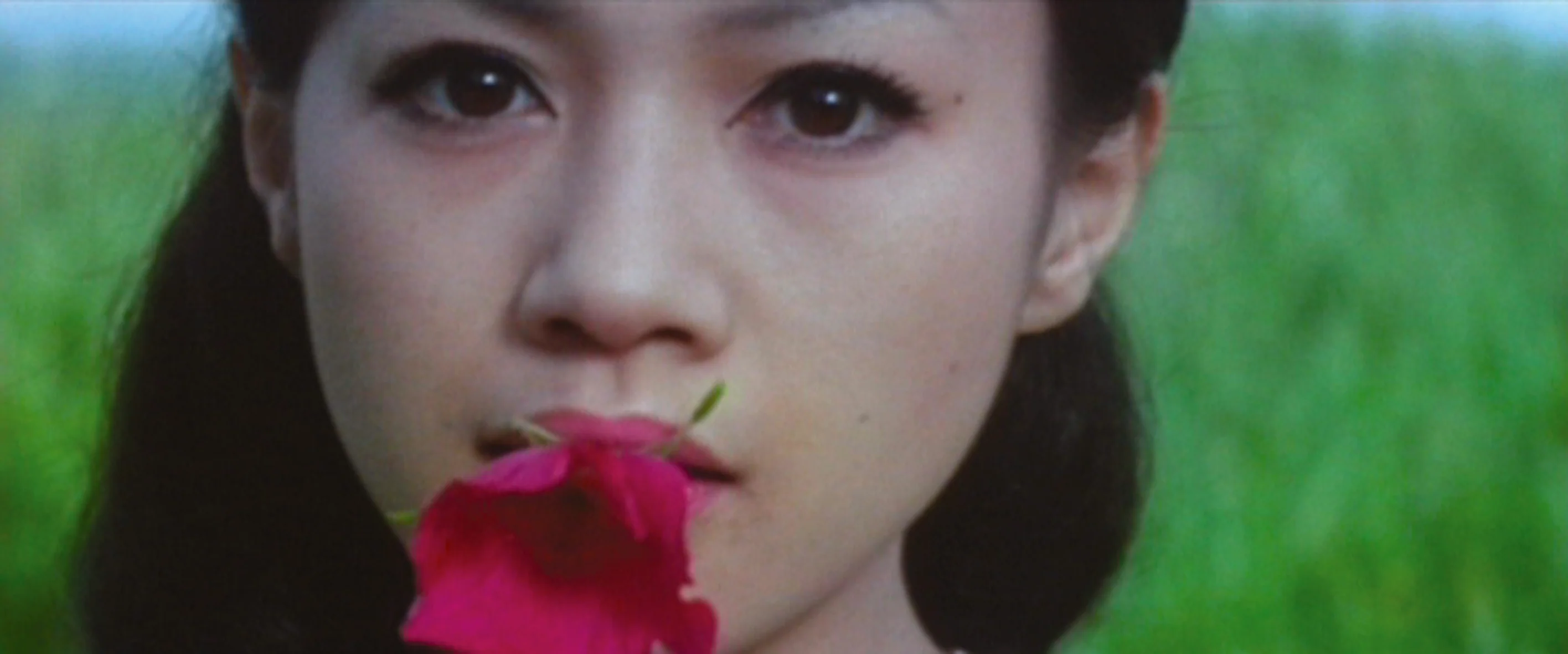 Les Plaisirs de la Chair de Nagisa Oshima - DVD - Image 4