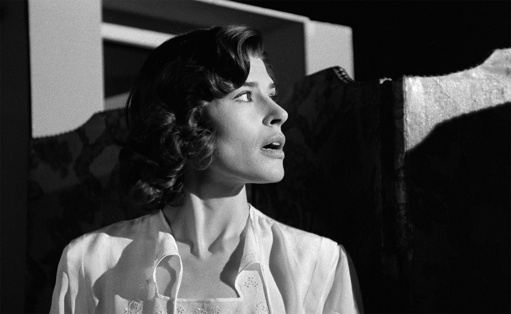 Pack Mensuel Octobre 2024 - Image 12