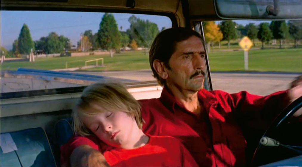 Paris, Texas de Wim Wenders - DVD - Image 3