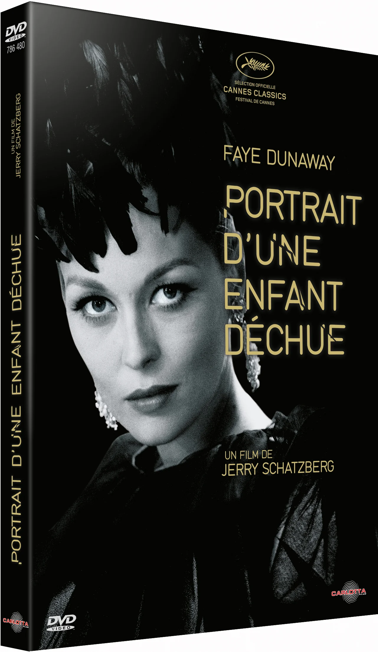 Portrait d'une enfant déchue de Jerry Schatzberg - Image 2