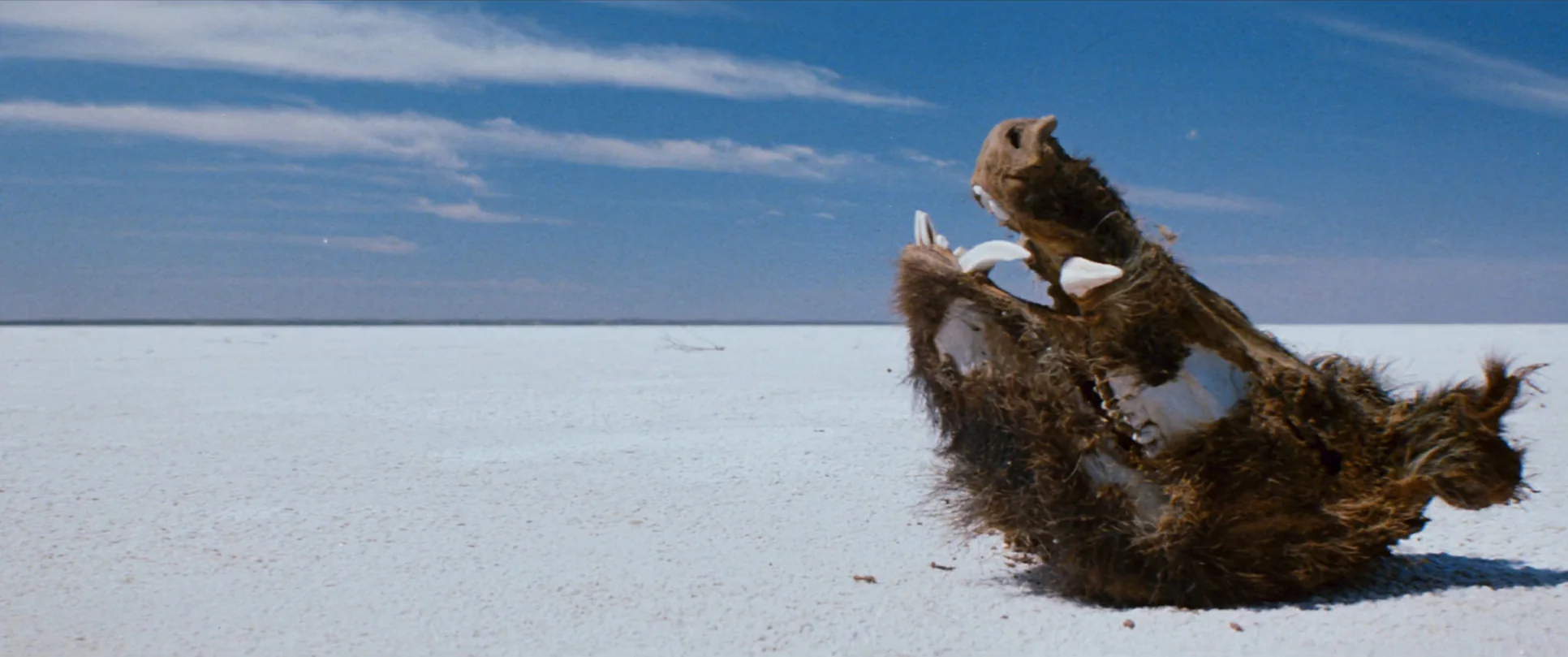 Razorback de Russell Mulcahy - Image 5