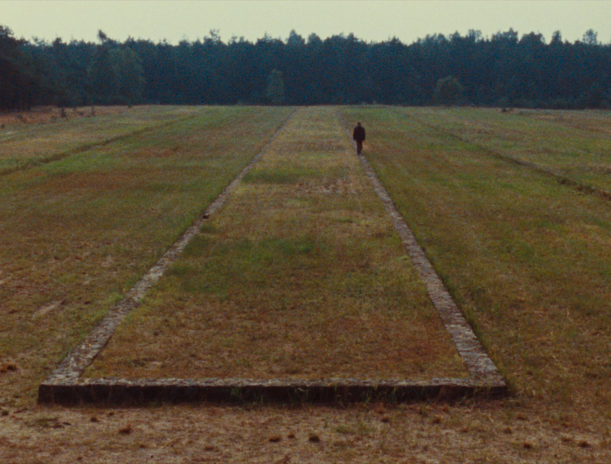 Shoah de Claude Lanzmann - Image 3