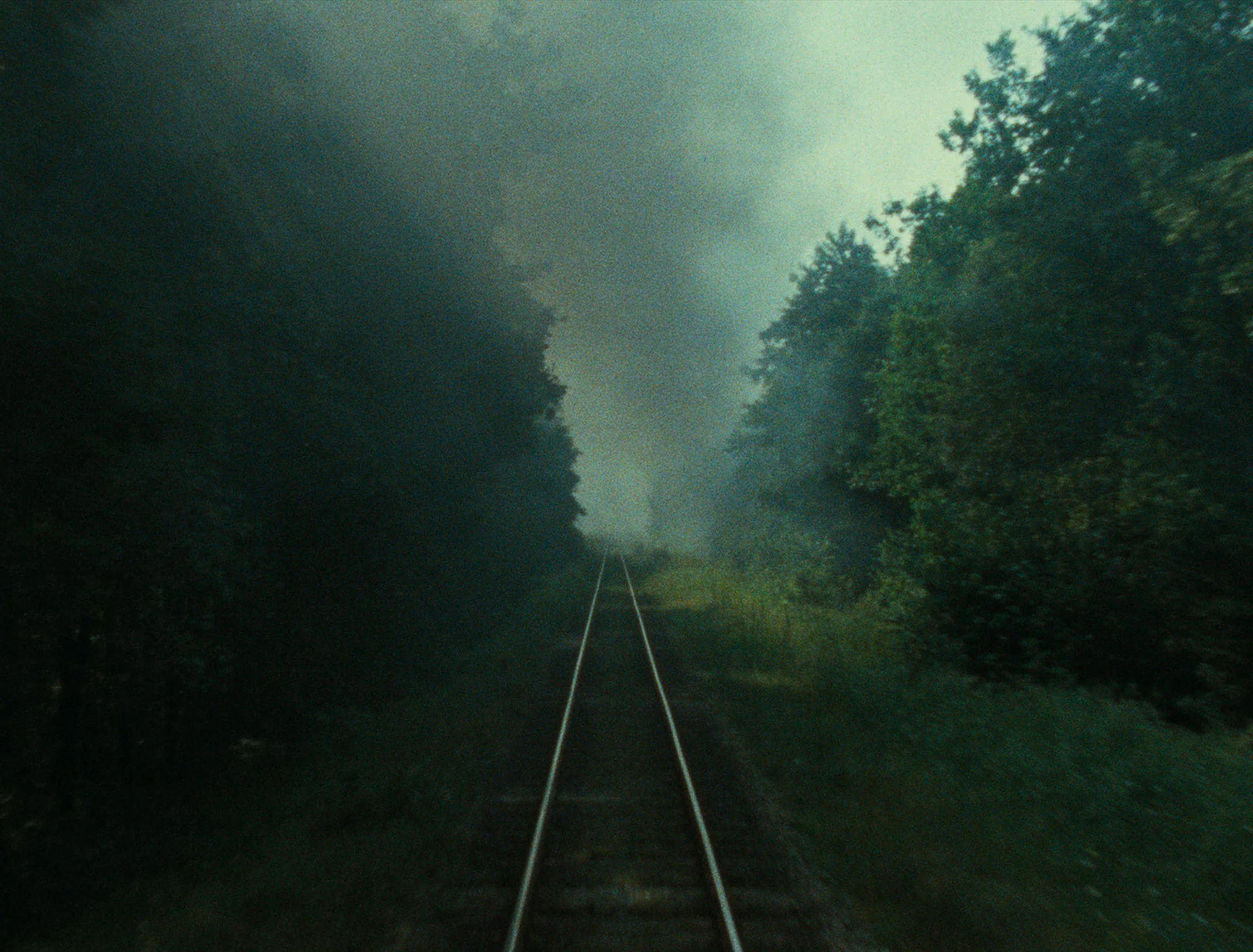 Shoah de Claude Lanzmann - Image 4