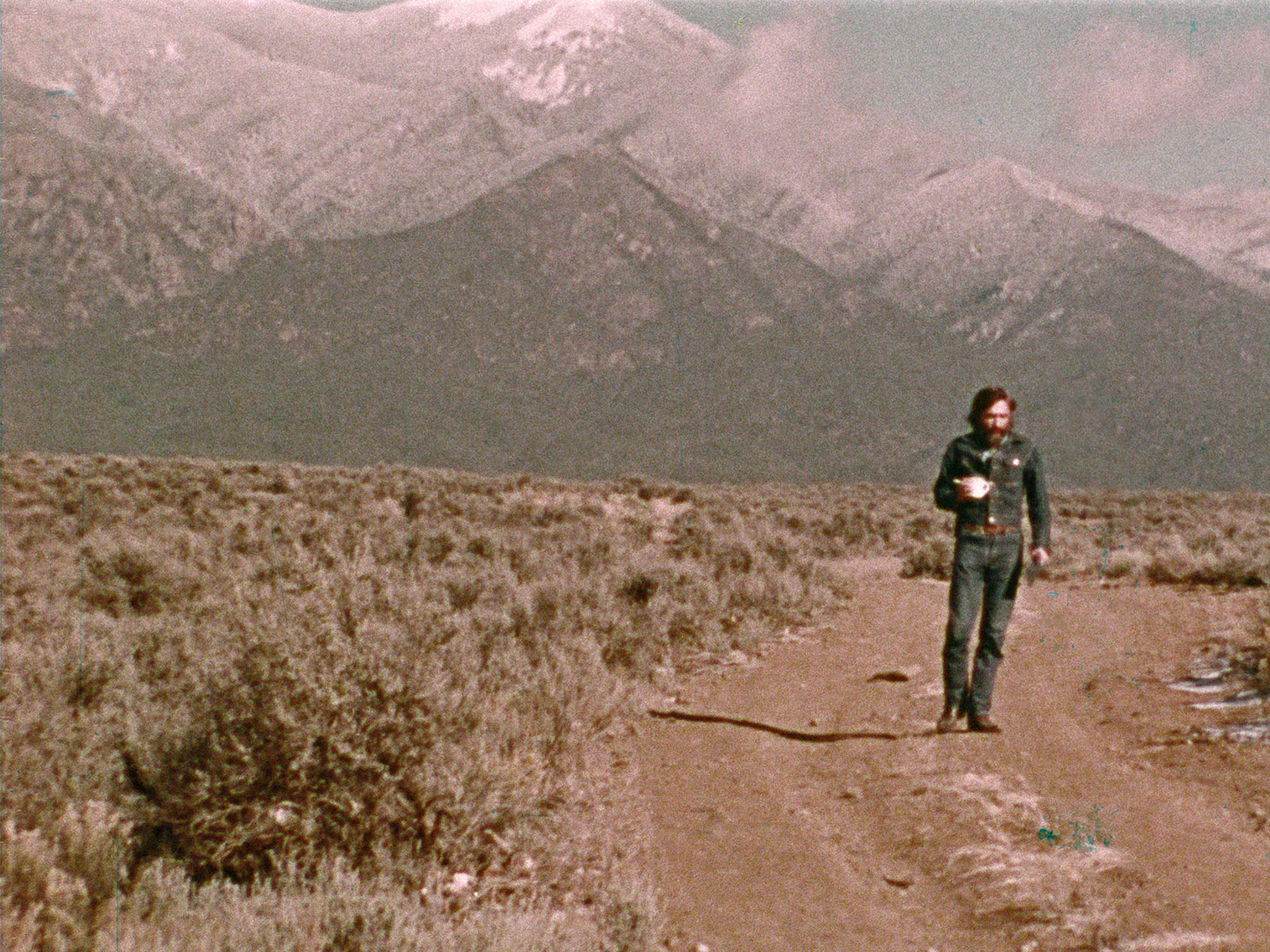 The American Dreamer de Schiller et Carson - Image 2