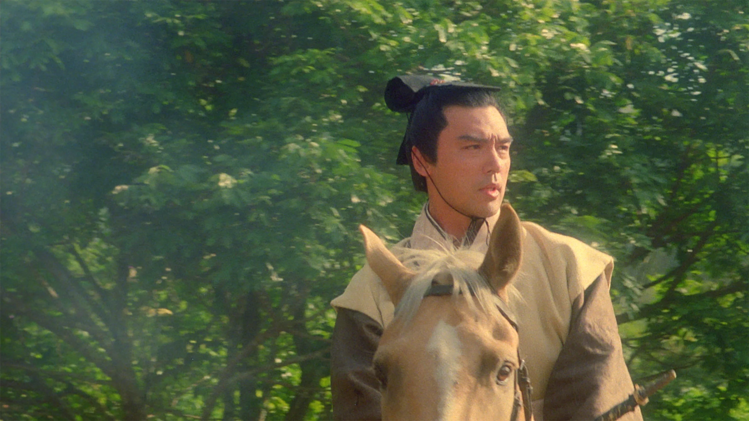 The Moon Warriors de Sammo Hung - Image 2